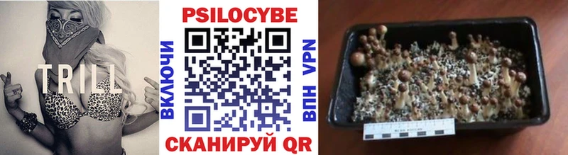 Галлюциногенные грибы MAGIC MUSHROOMS  Дмитровск 